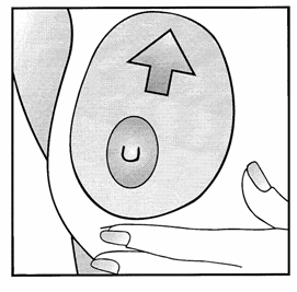 augmentace7