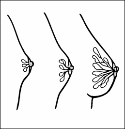 redukce2