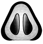 rhinoplastika5