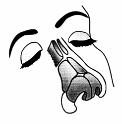 rhinoplastika7